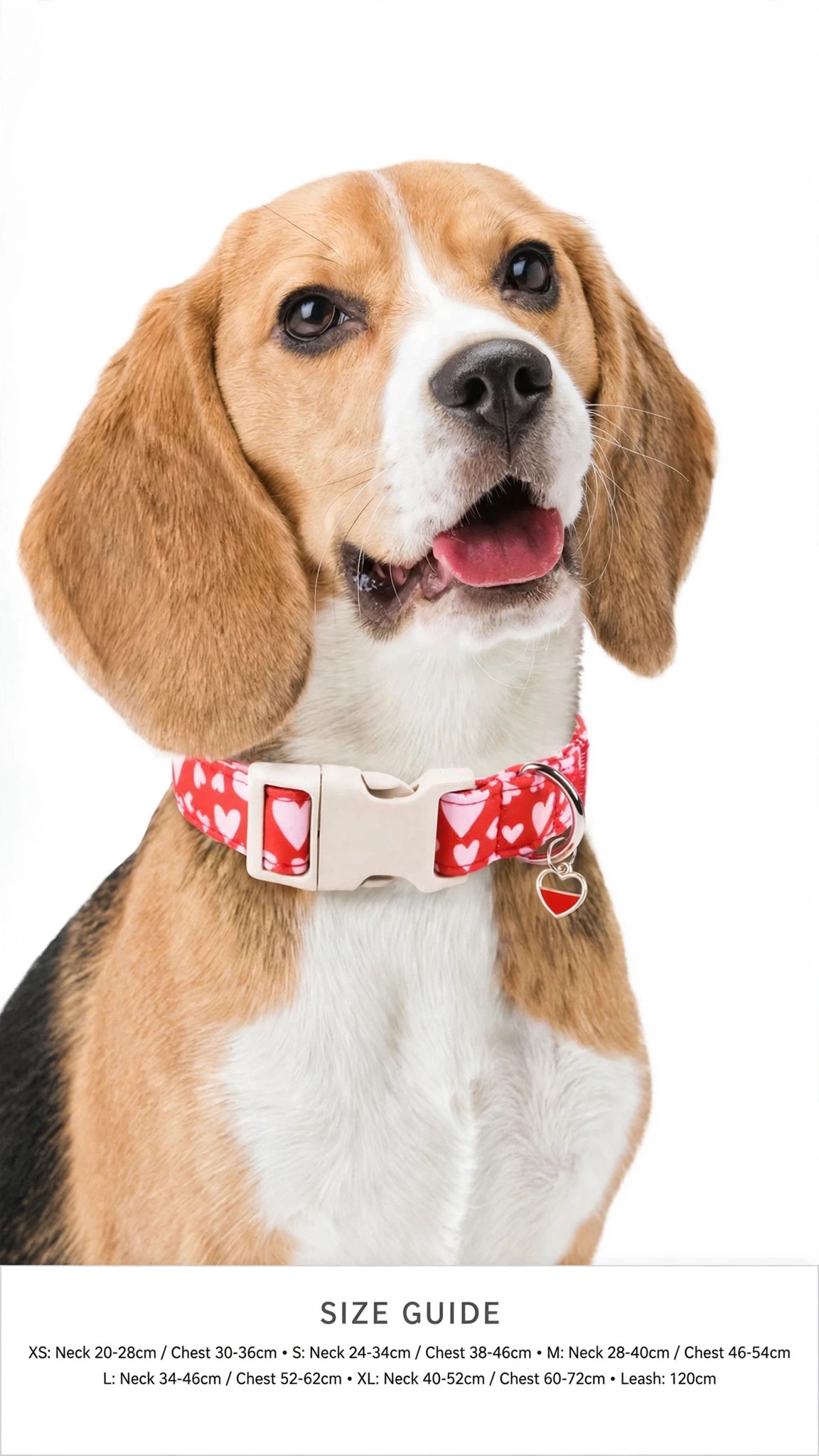 Heart Print Dog Collar & Reflective Leash Set with Heart Charm