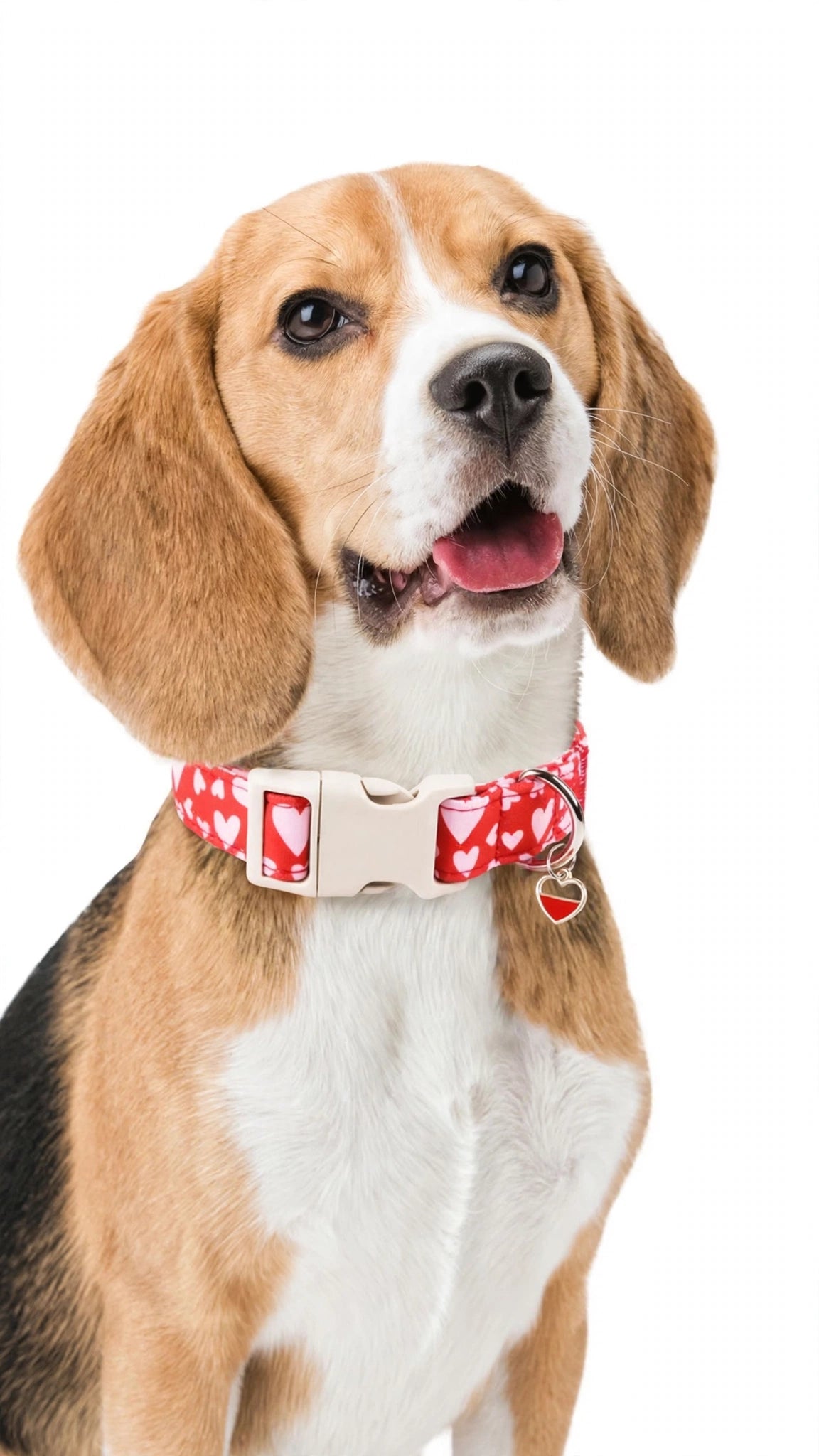 Heart Print Dog Collar & Reflective Leash Set with Heart Charm