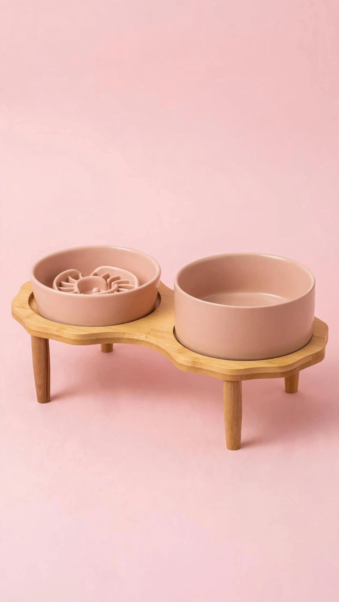 Ceramic Slow Feeder Bowl for Cats & Small Dogs