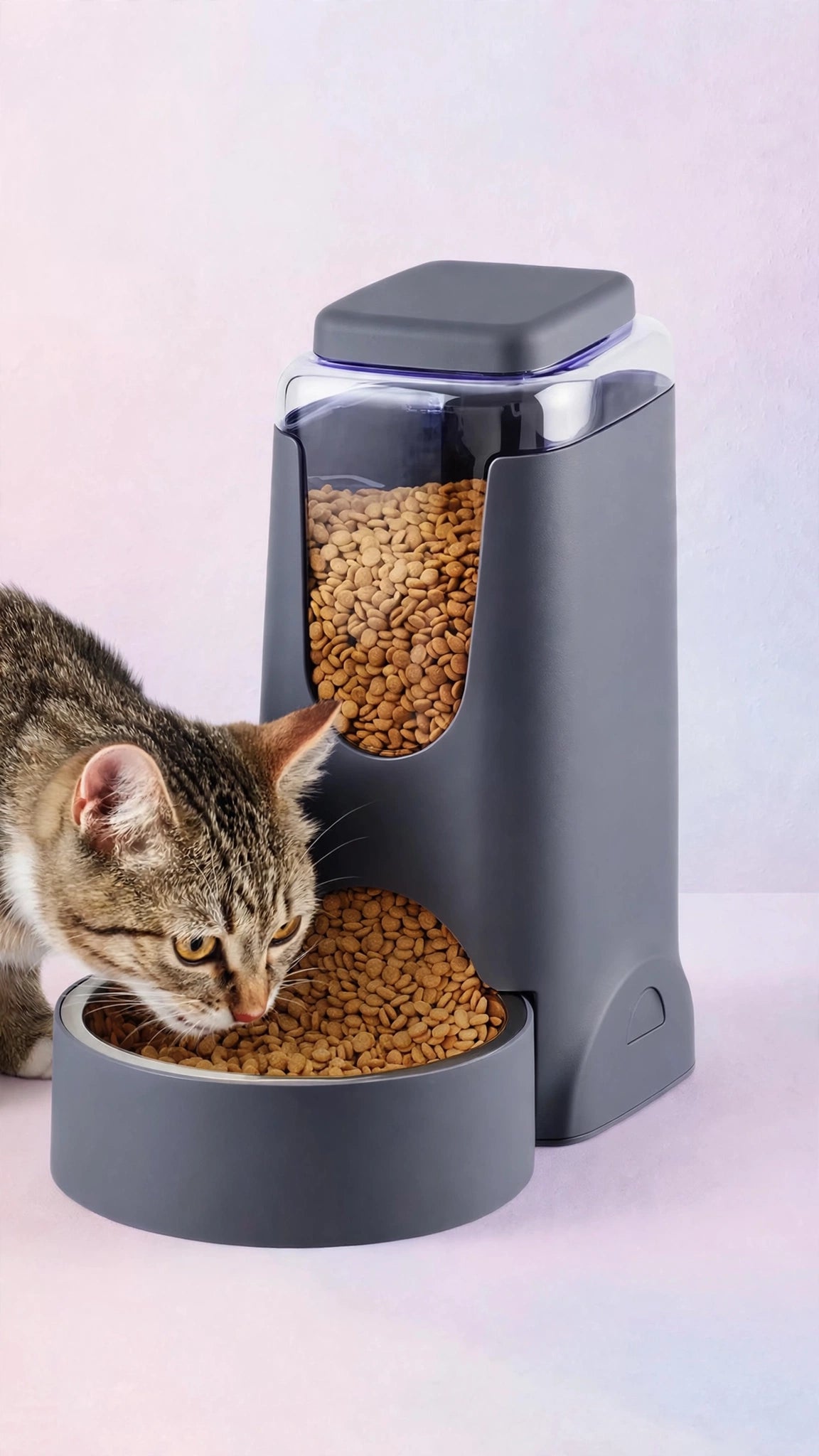 Large-Capacity Pet Feeder & Water Dispenser
